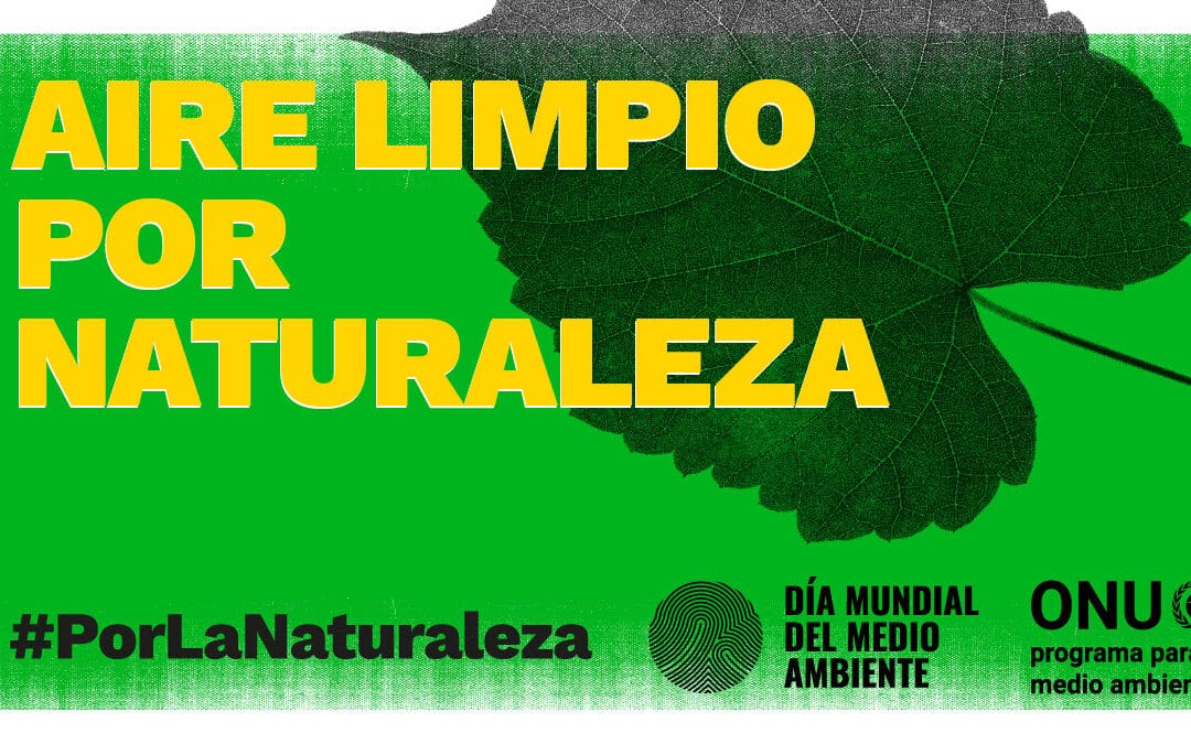 Dia Mundial del Medio Ambiente 1080x675 1