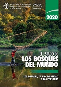 Elestadoactualdelosbosques2020 1